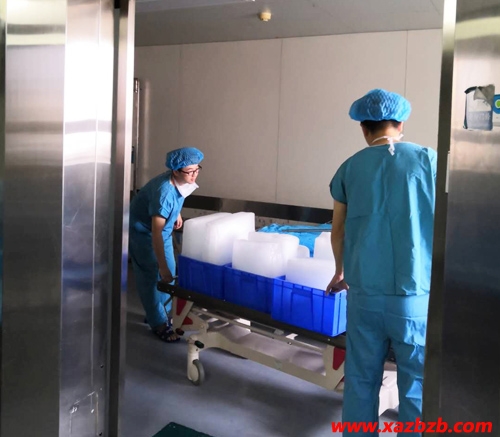 西安91视频网页冰塊